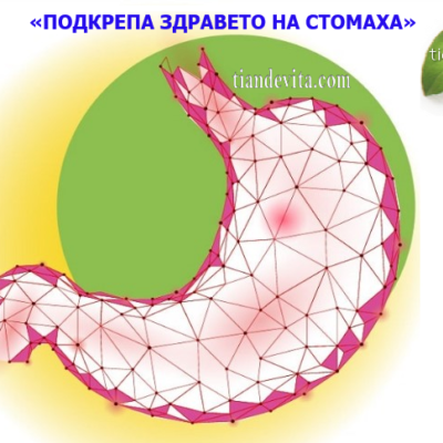 Програма за подкрепа здравето на стомаха