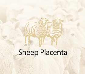 Sheep Placenta