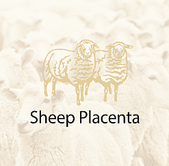 Серия "Sheep placenta"